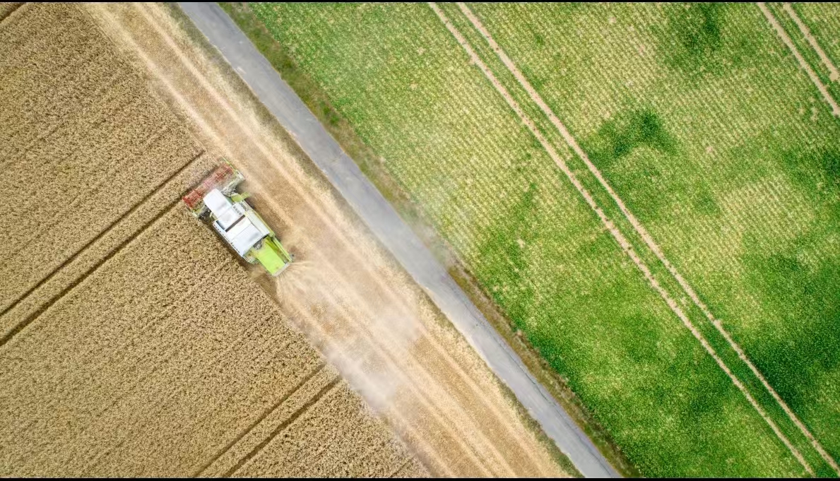 Agricultural field and logistics road